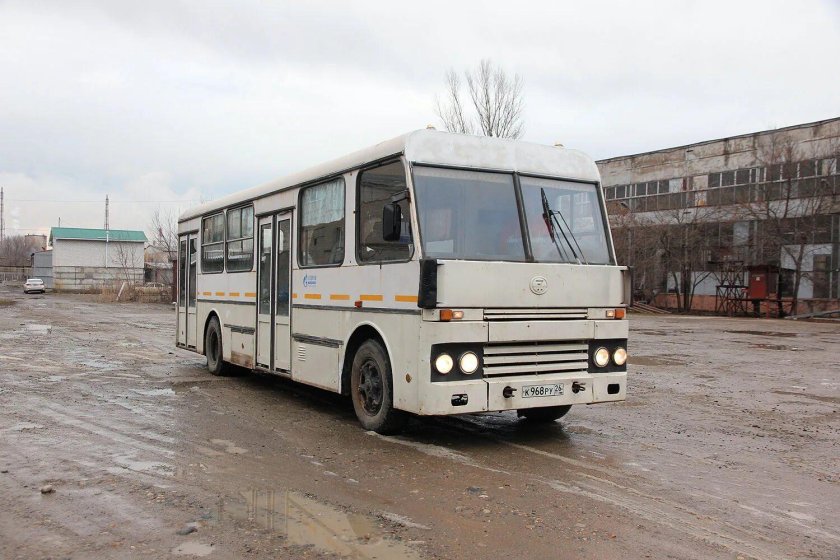 Старые автобусы