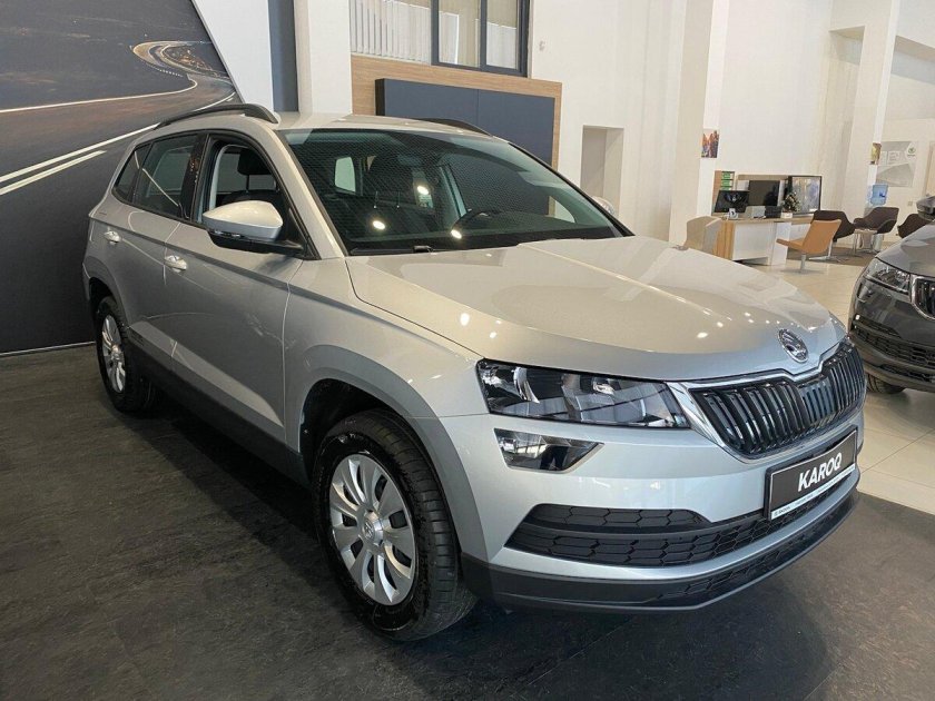 Skoda karoq i