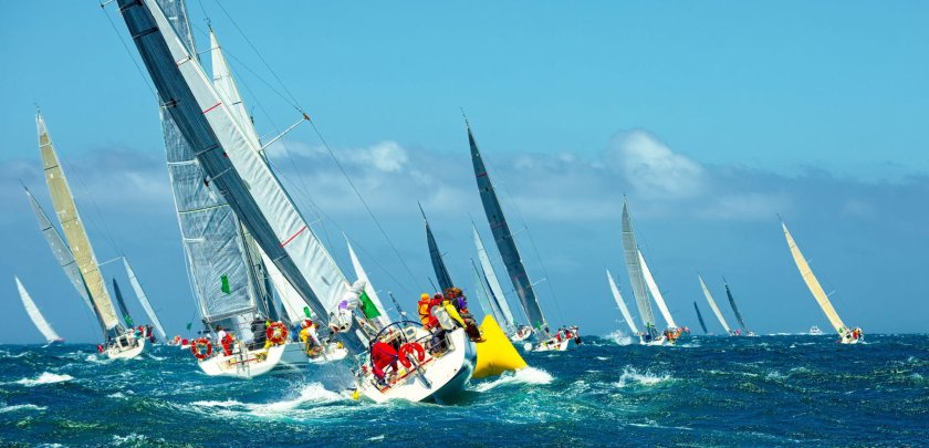 Парусная регата