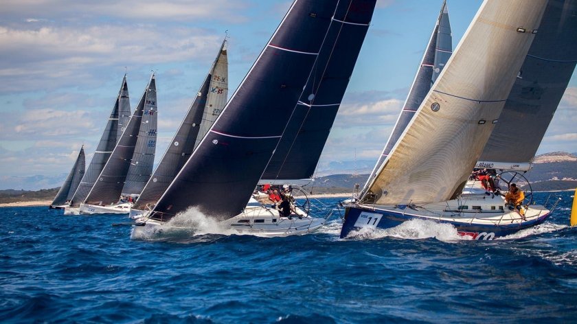 Регата парусная