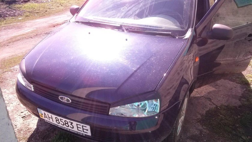 Калина цвет черника 482