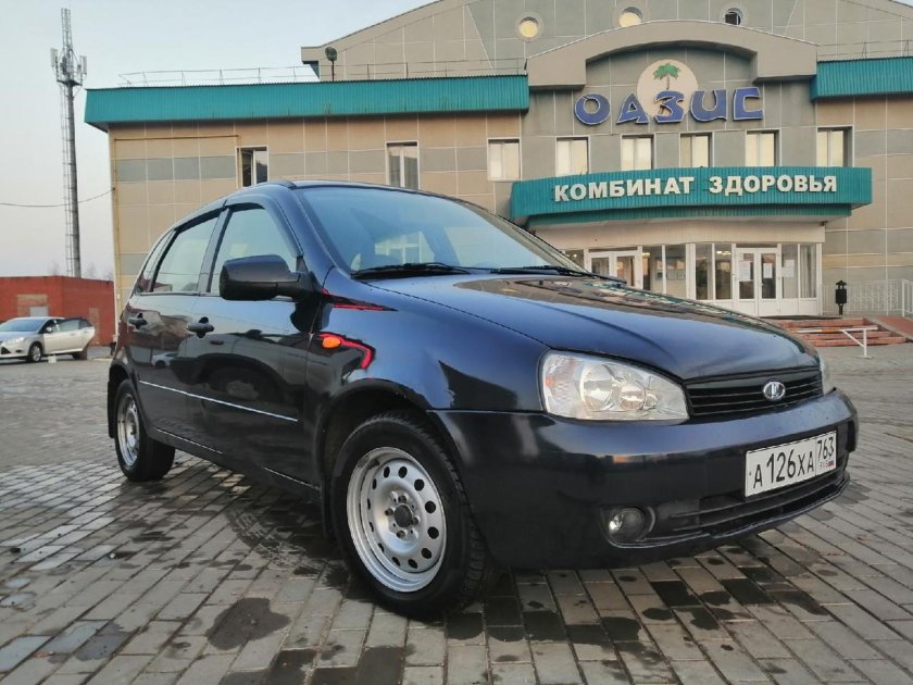 Калина цвет черника 482