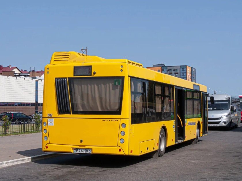 Маз 203 автобус