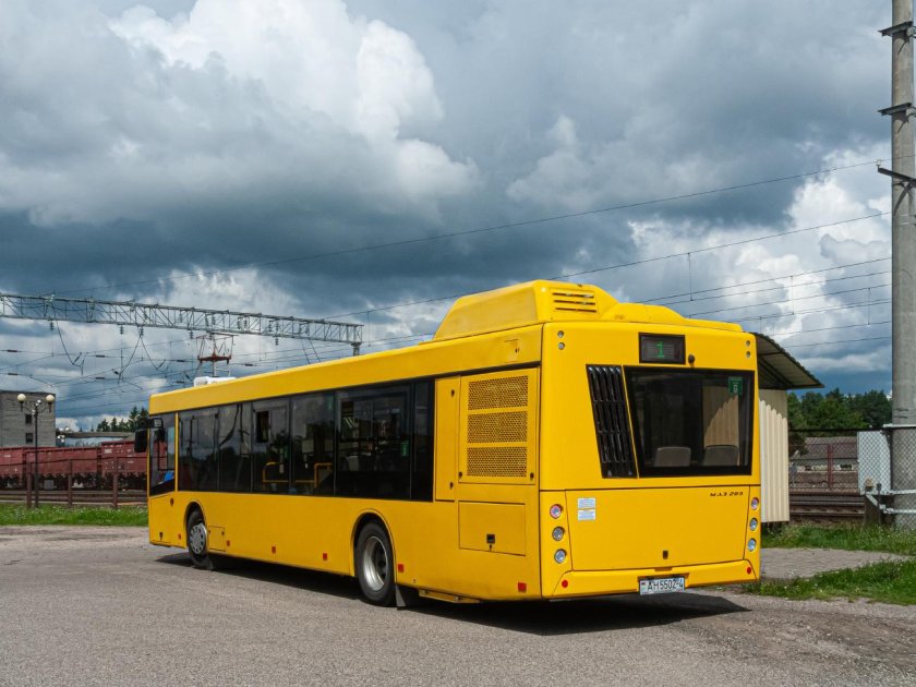 Маз 203 автобус