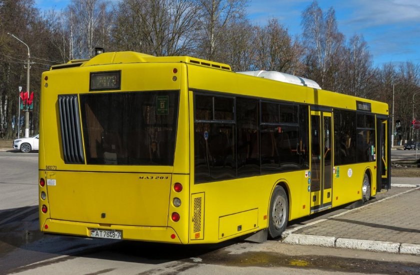 Маз 203 автобус