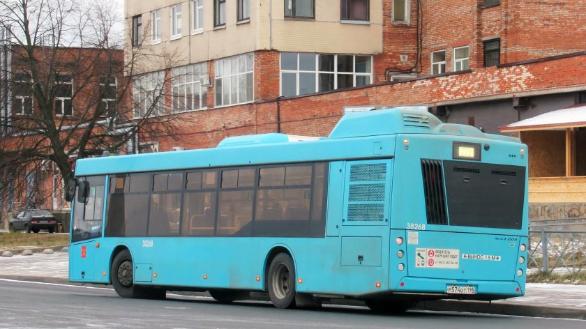 МАЗ 203 наши автобусы