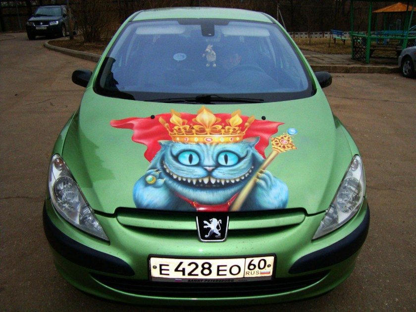 Аэрография кот