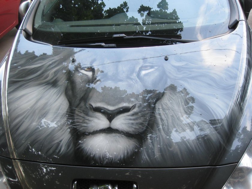 Аэрография на Пежо 308