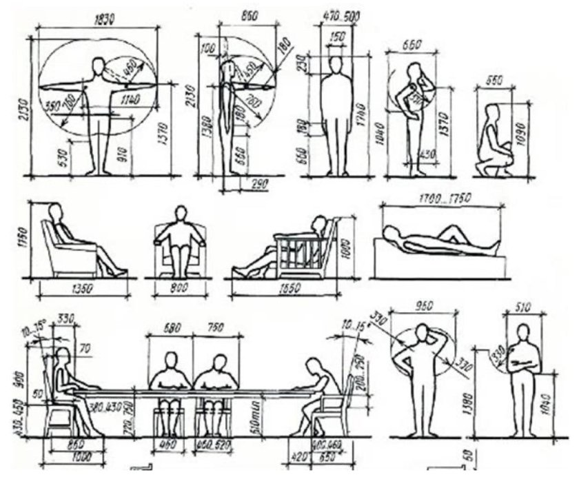 Эргономика и антропометрия в дизайне