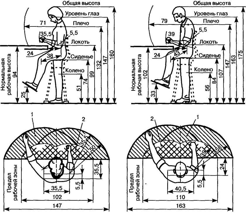 Эргономика рабочего места антропометрические