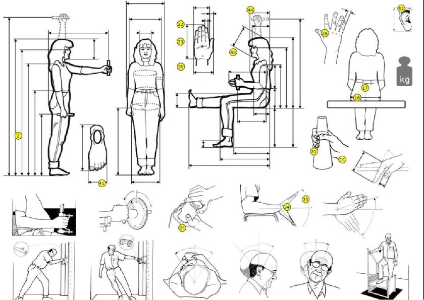 Основы эргономики Нойферт