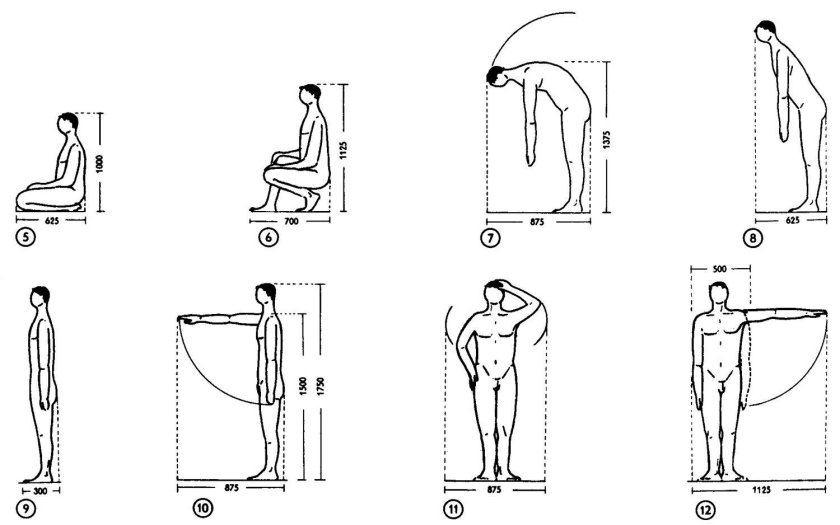 Эргономика человека Нойферт