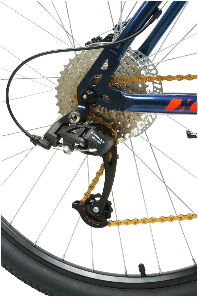 Forward Sporting 29 x