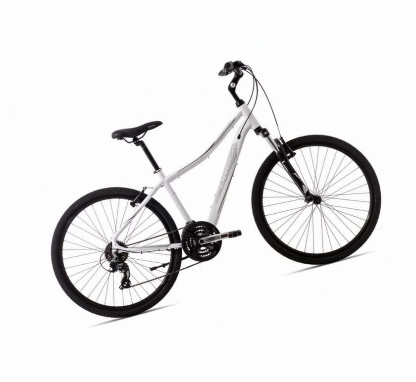 Форвард Спортинг 1.0 27.5