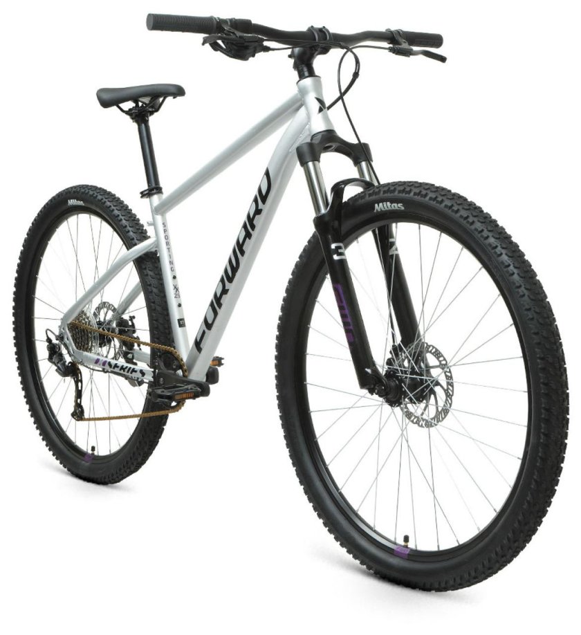 Forward Sporting 29 XX