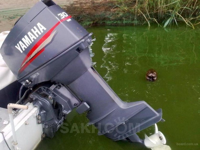 Мотор Yamaha 30