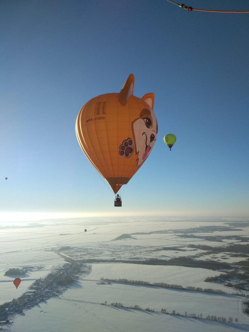 Дмитров полет на воздушном шаре цена билета