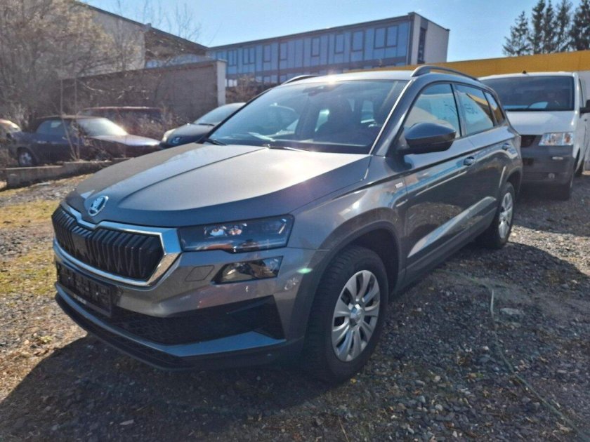 Skoda karoq i