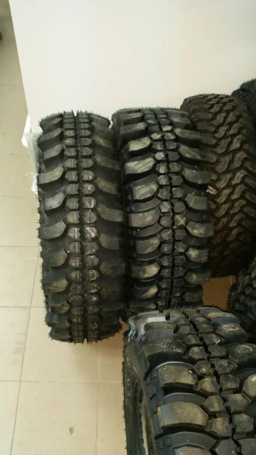 NORTEC forward Safari 500