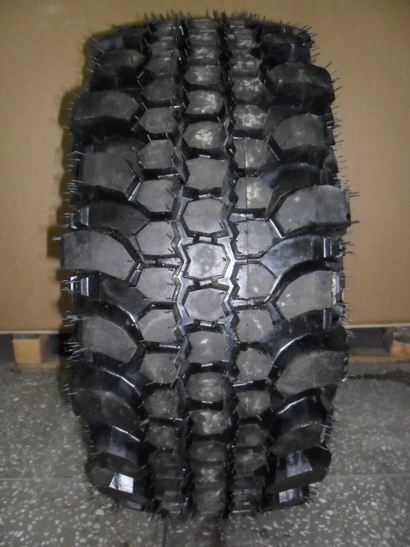 Сафари 500 r16