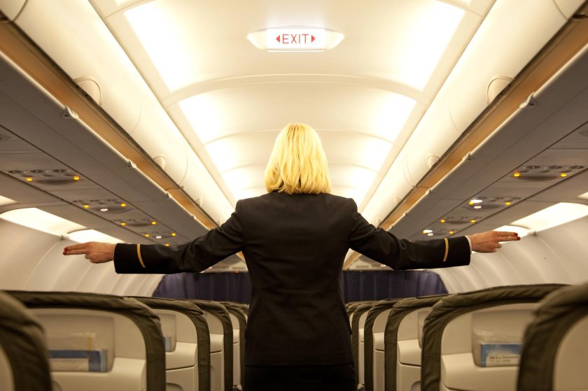 Стюардесса со спины