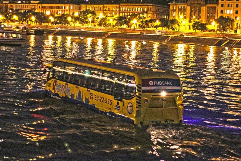 Амфибиус Нидерланды