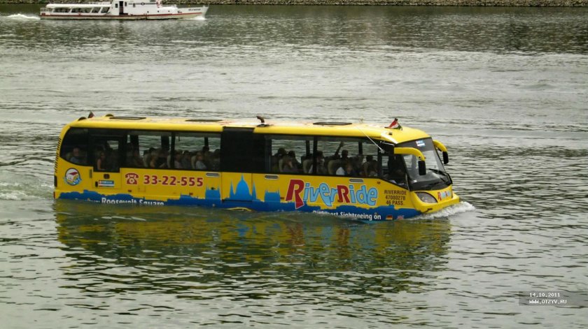 Амфибиус Нидерланды