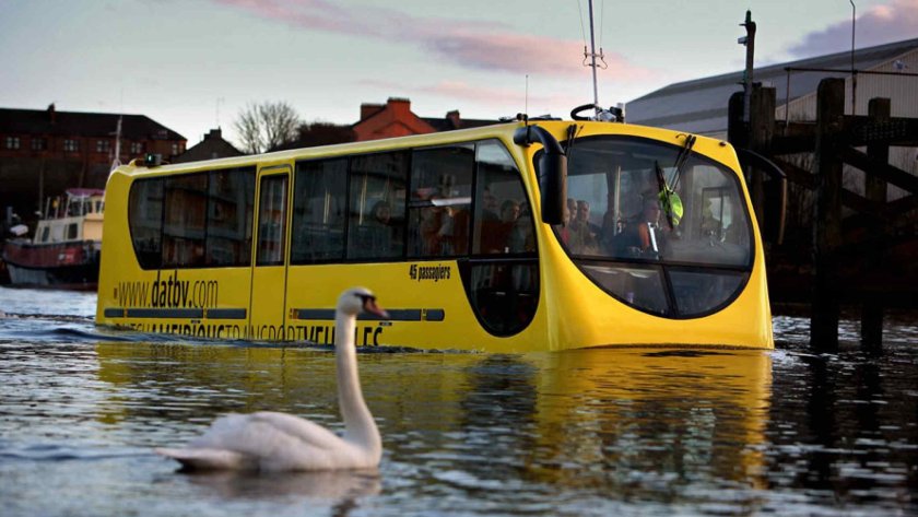 Амфибиус Нидерланды