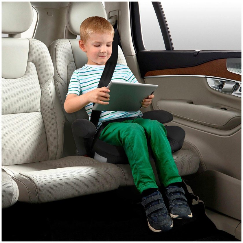 Бустер фото