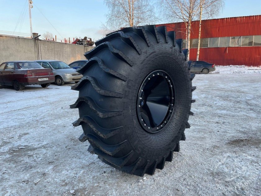 Forester 1650х600 шины