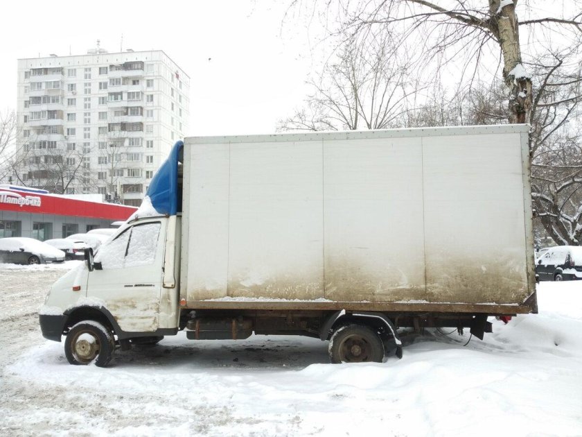 Газель длинная