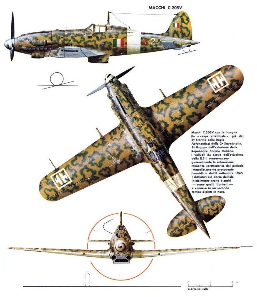 Macchi c.205