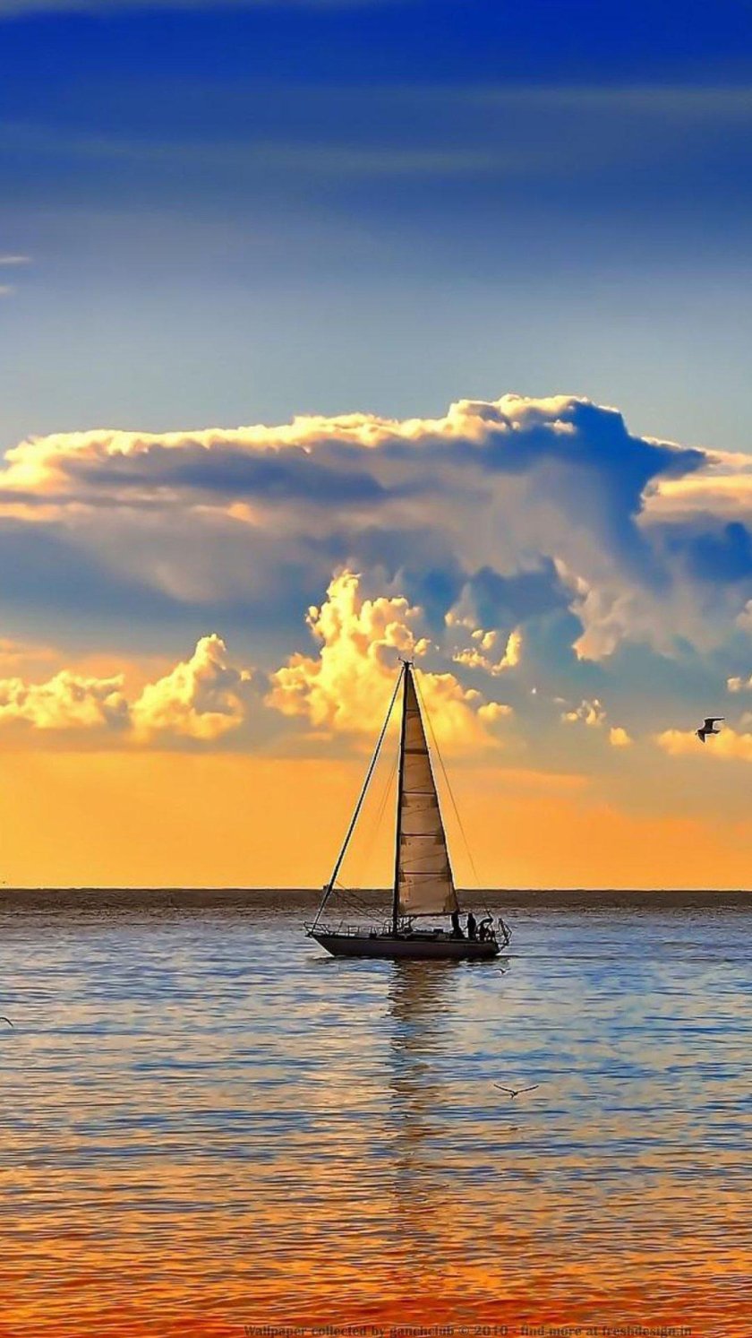 Птицы в небе