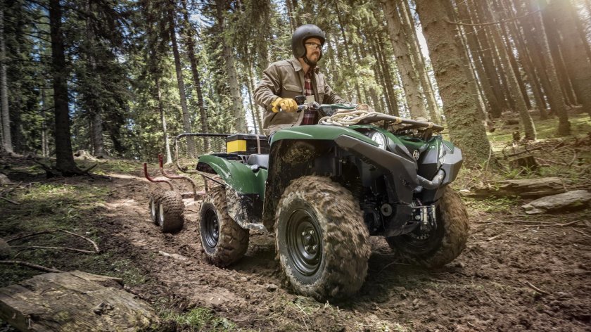 Квадроцикл Гризли 700