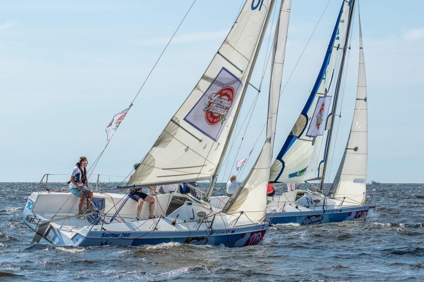 Парусные гонки