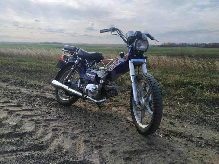 Документ на альфу Хорс