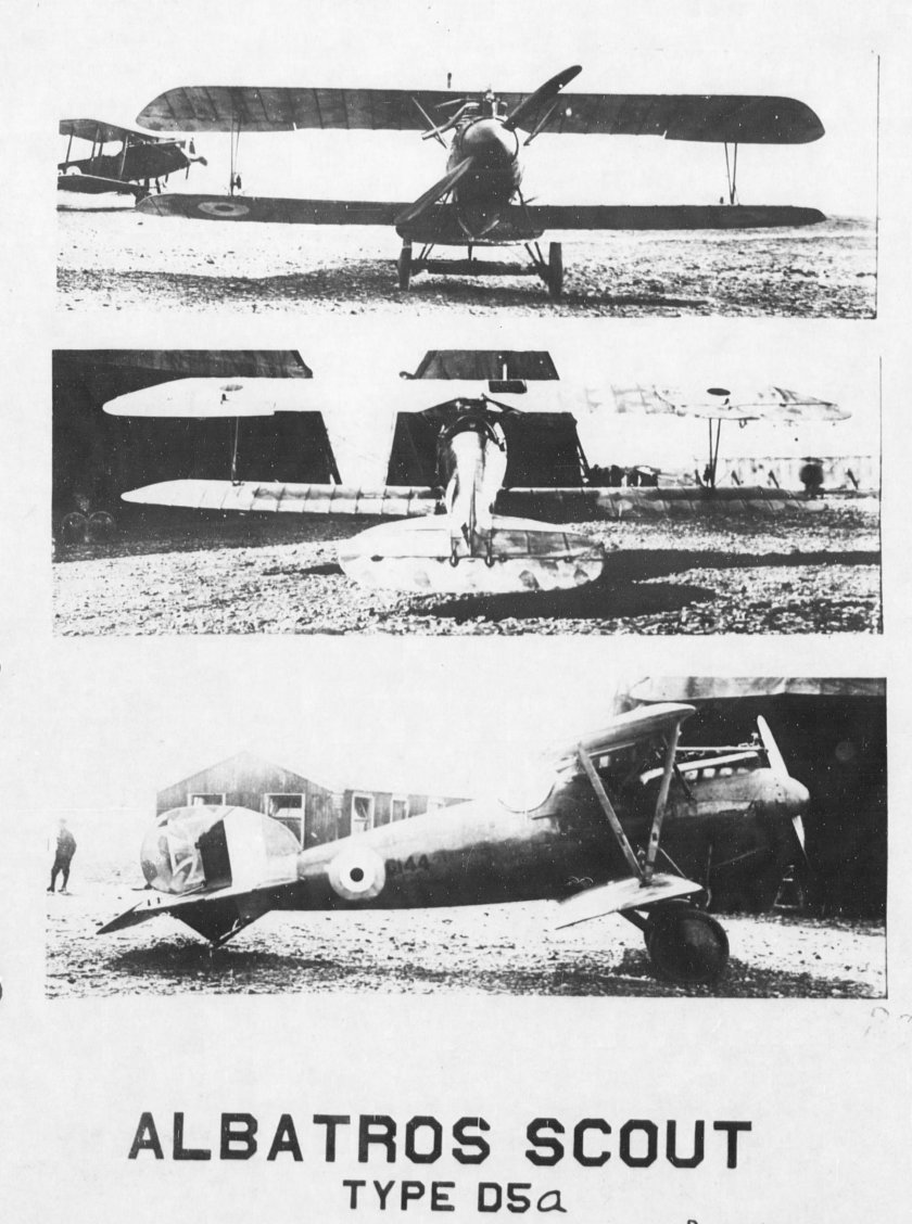 Альбатрос d5