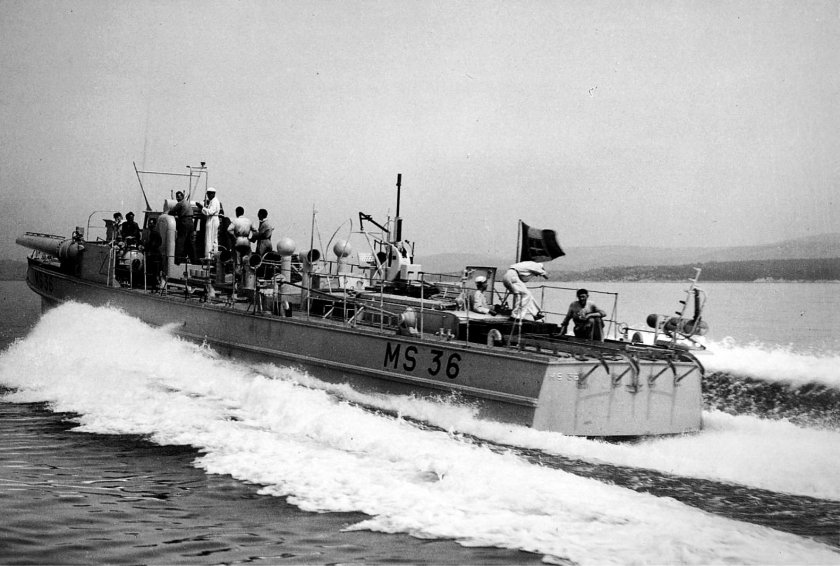 Торпедный катер Ягуар