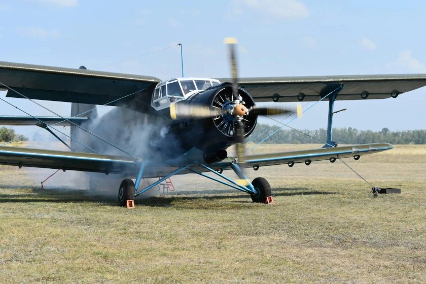 Кукурузник АН-2 деревянный