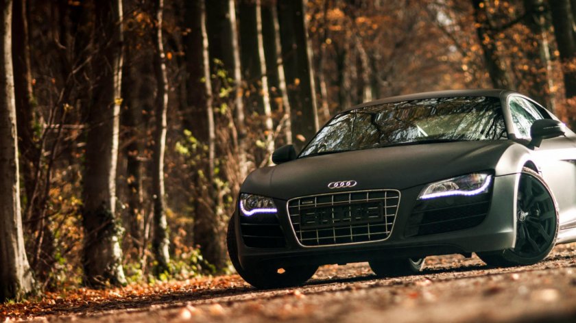 Ауди р8 в лесу