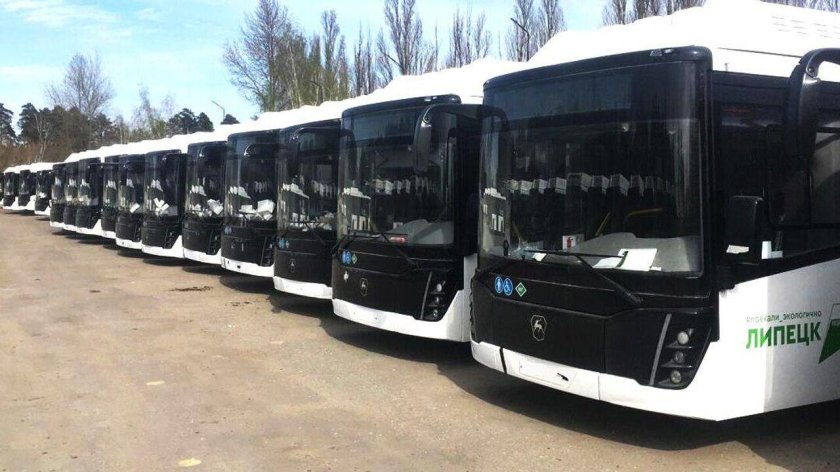 Новые автобусы