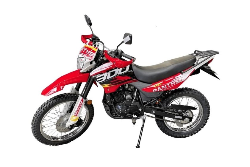 Рейсер пантера 300