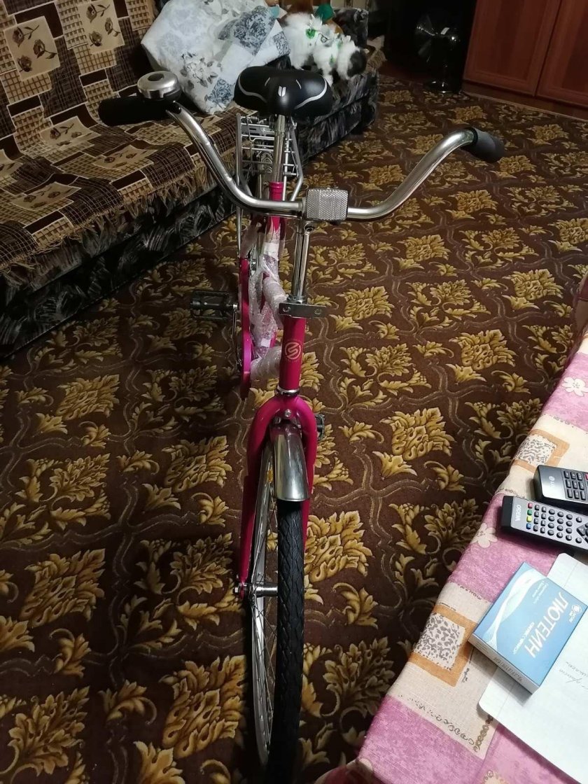 Десна круиз 28 z010