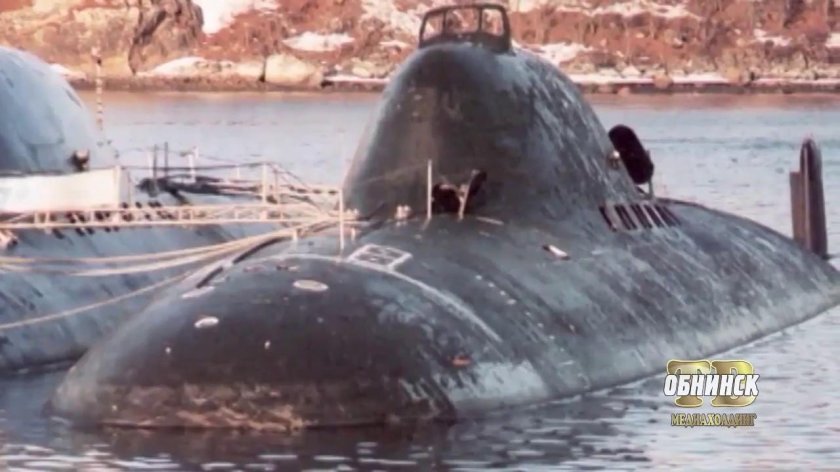 Нерпичья губа