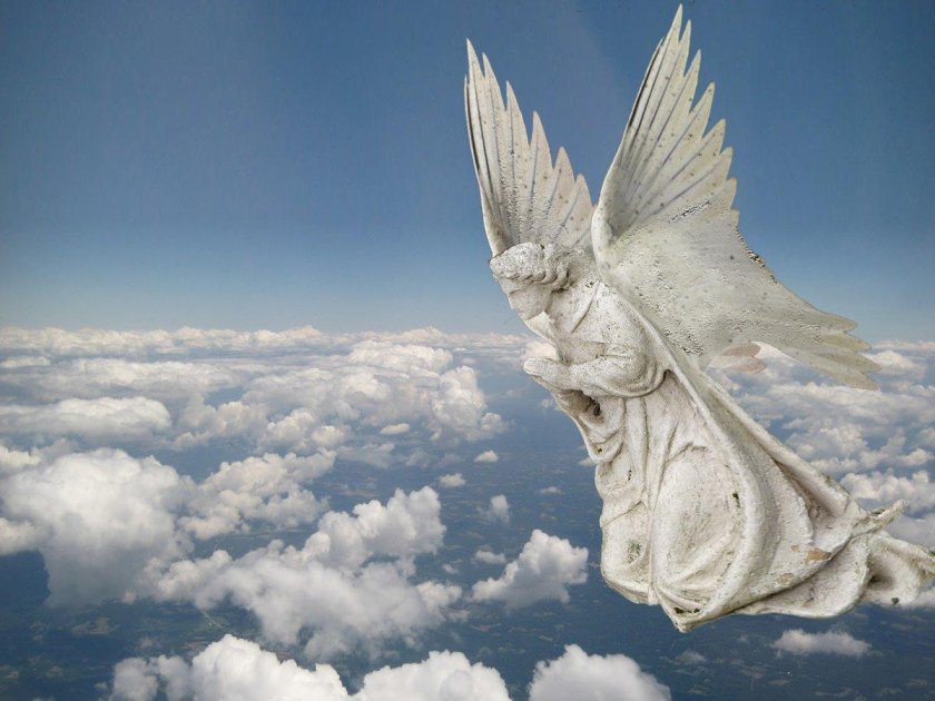 Ангелы летают