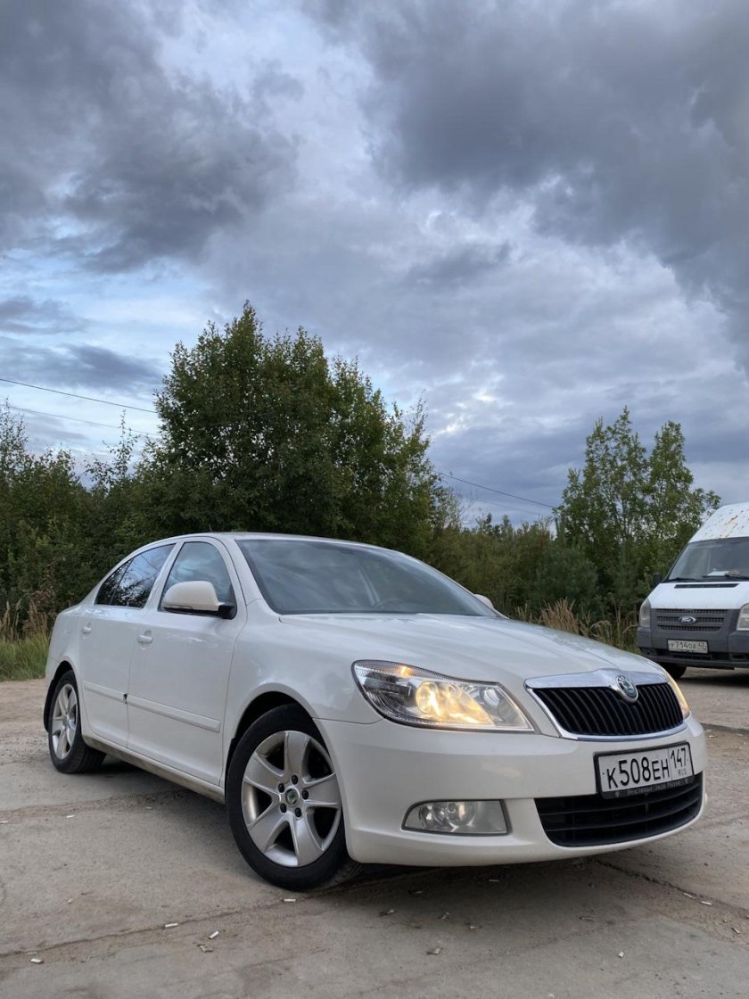 Шкода Октавия а5 занижение -50