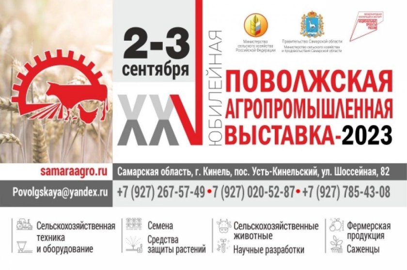 Выставки 2023