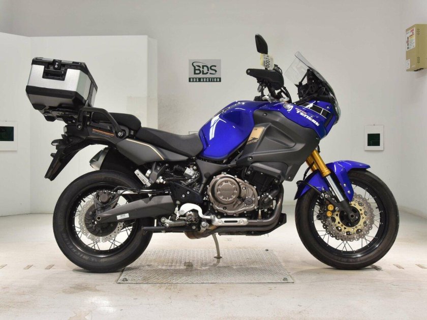 Расцветки Триумф Тайгер 900 2024