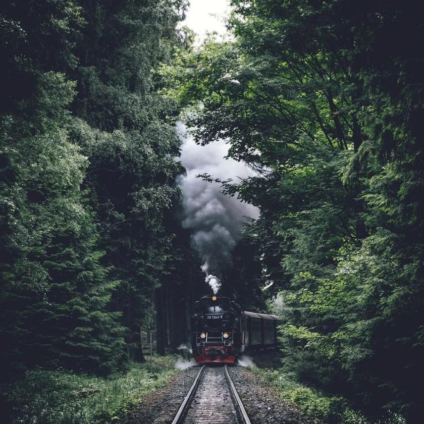 Паровоз в лесу