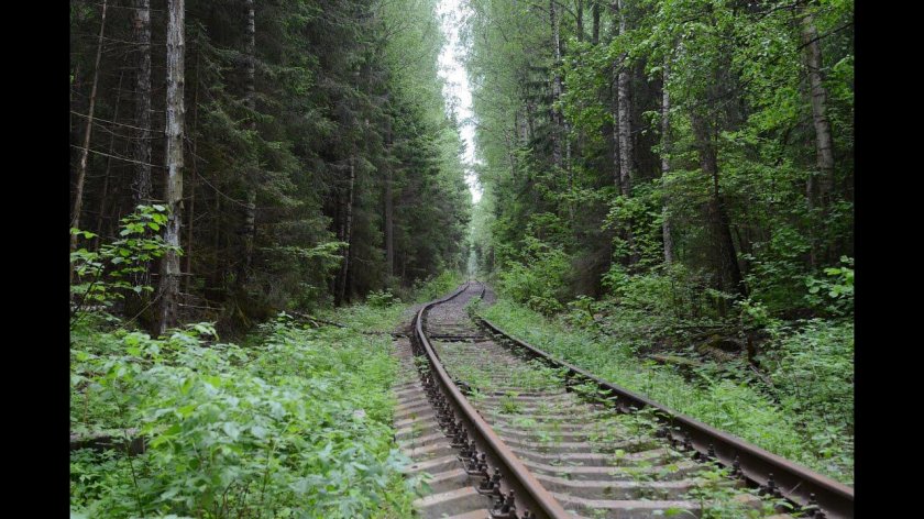 Заброшенные станции ДЖД Лесная